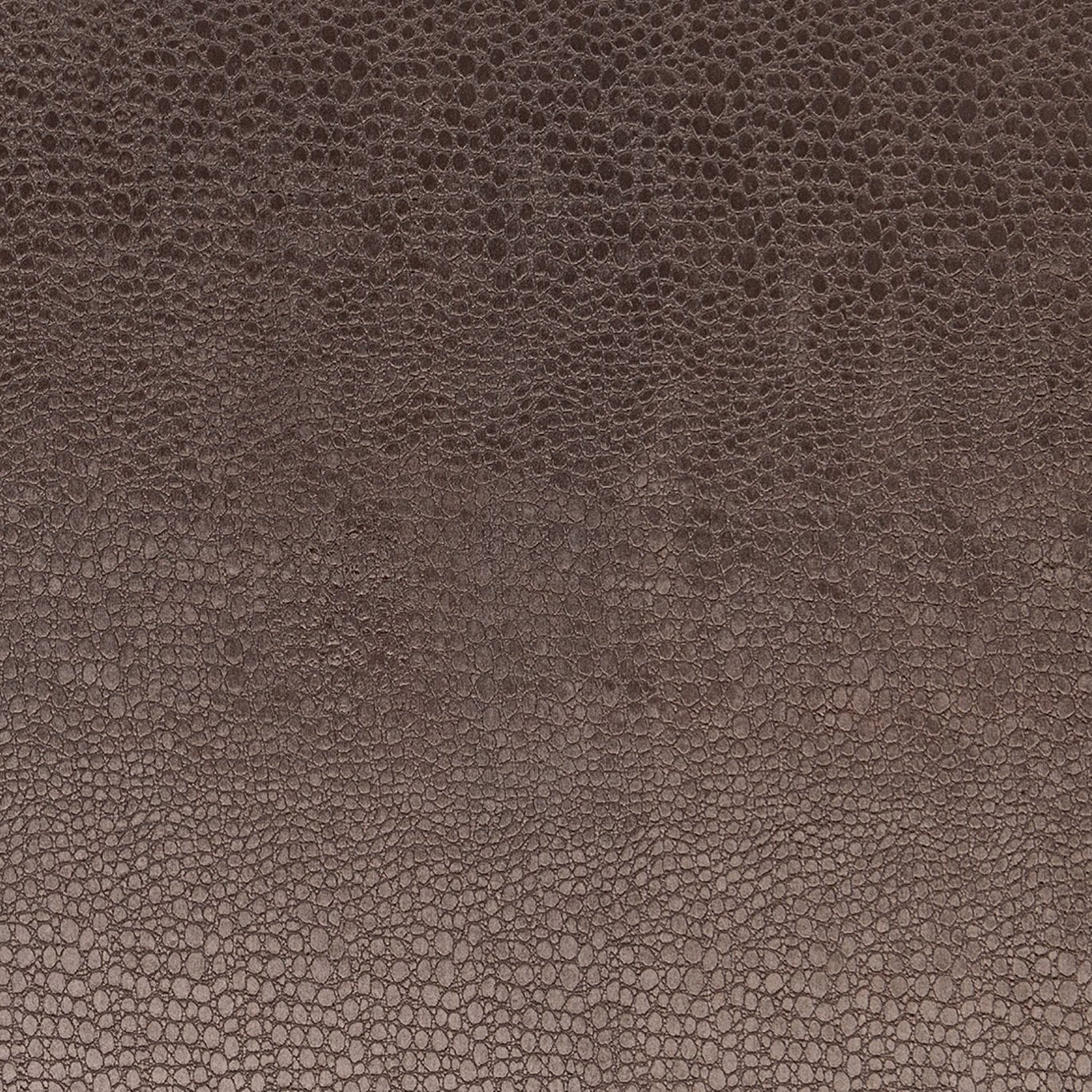 Clarke & Clarke Pulse Charcoal ~ Roman Blinds Made-to-Measure