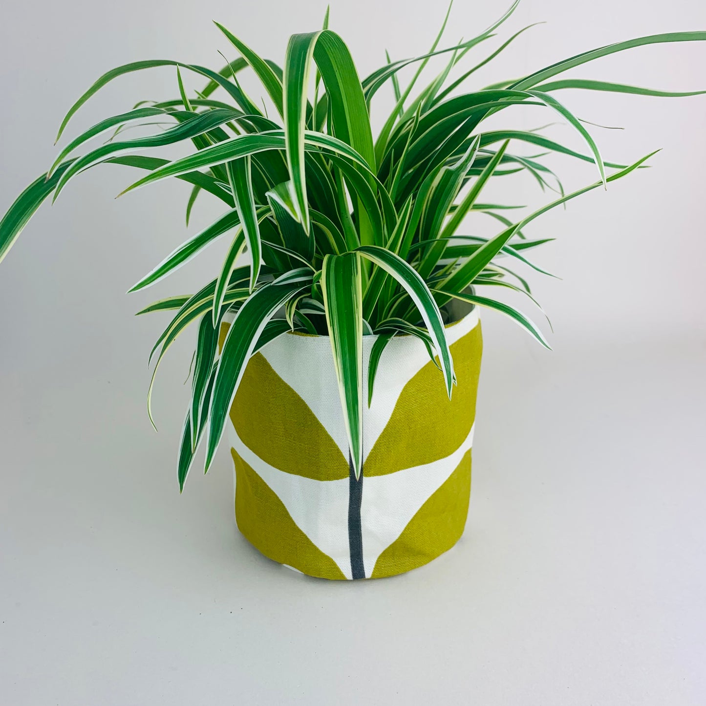 Olive Stem Orla Kiely Plant Pot Covers: Retro Decor, Multiple Sizes
