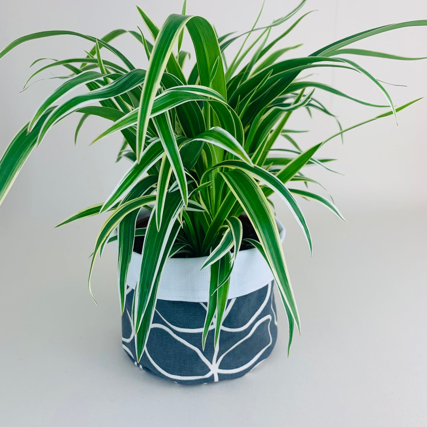 Grey Stem Orla Kiely Plant Pot Covers: Retro Decor, Multiple Sizes