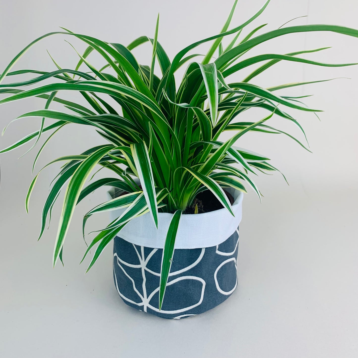 Grey Stem Orla Kiely Plant Pot Covers: Retro Decor, Multiple Sizes
