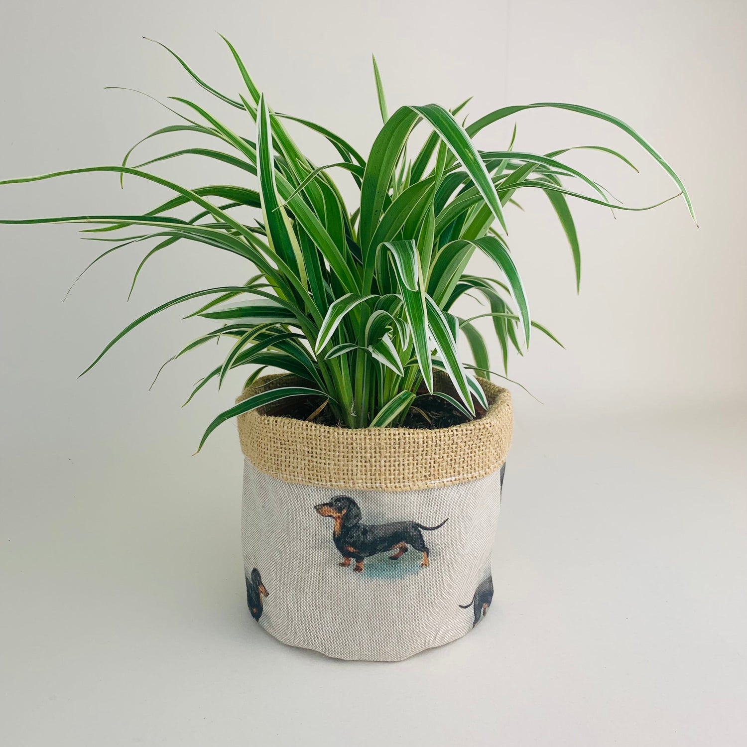 Handmade fabric plant pot with dachshund print linen by Green Bee Interiors
