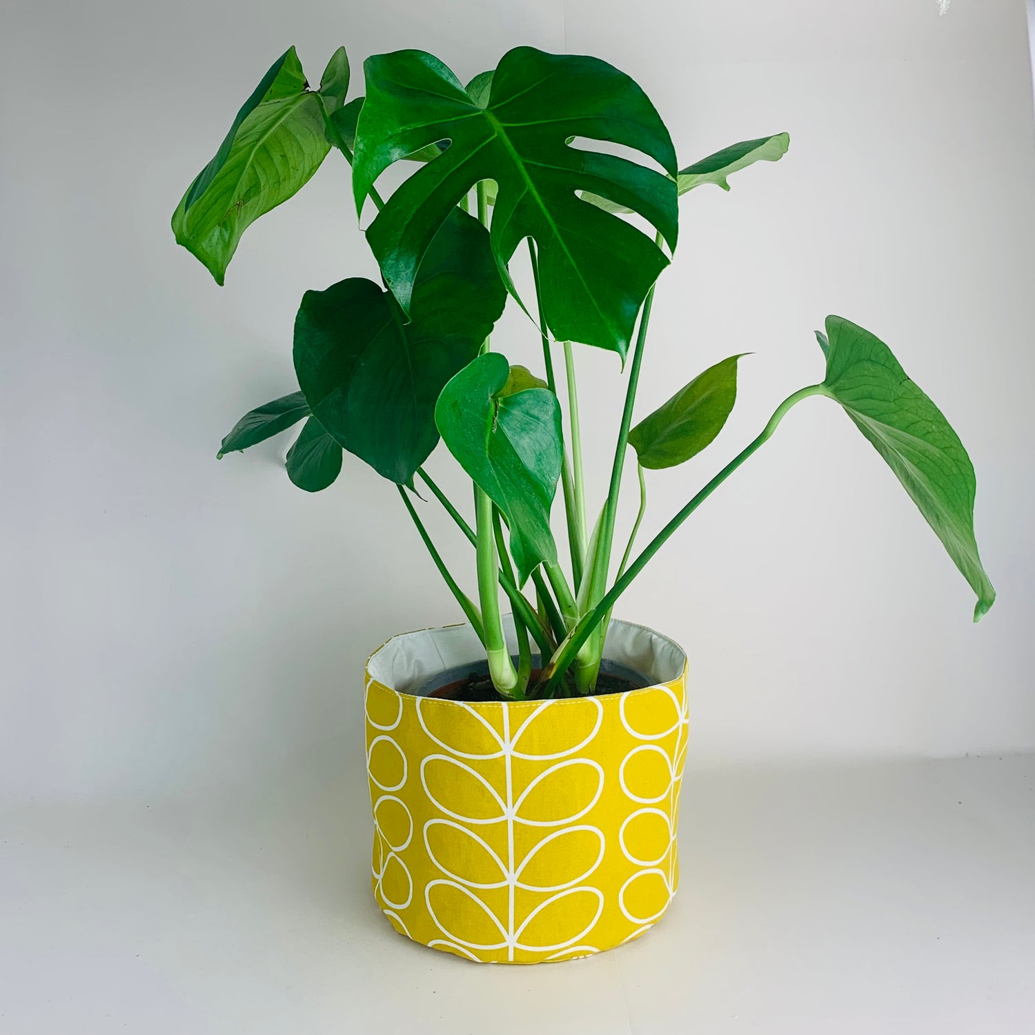 Plant Pots