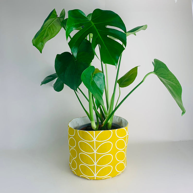 Plant Pots