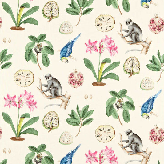 Sanderson Capuchins Chintz Roman Blind