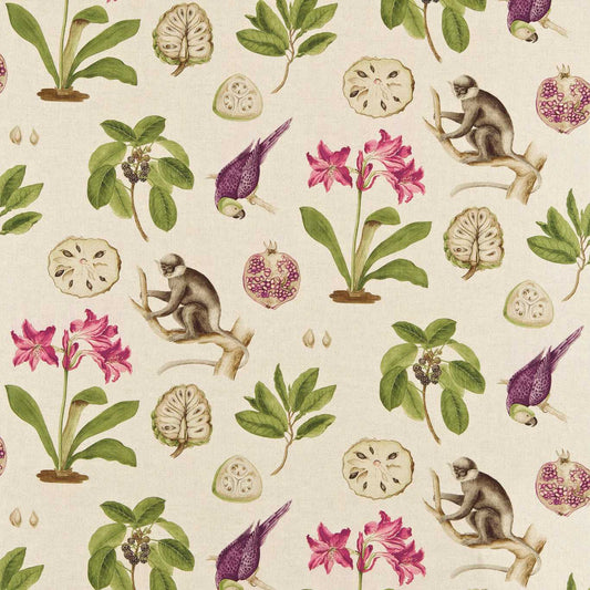 Sanderson Capuchins Boysenberry Roman Blind
