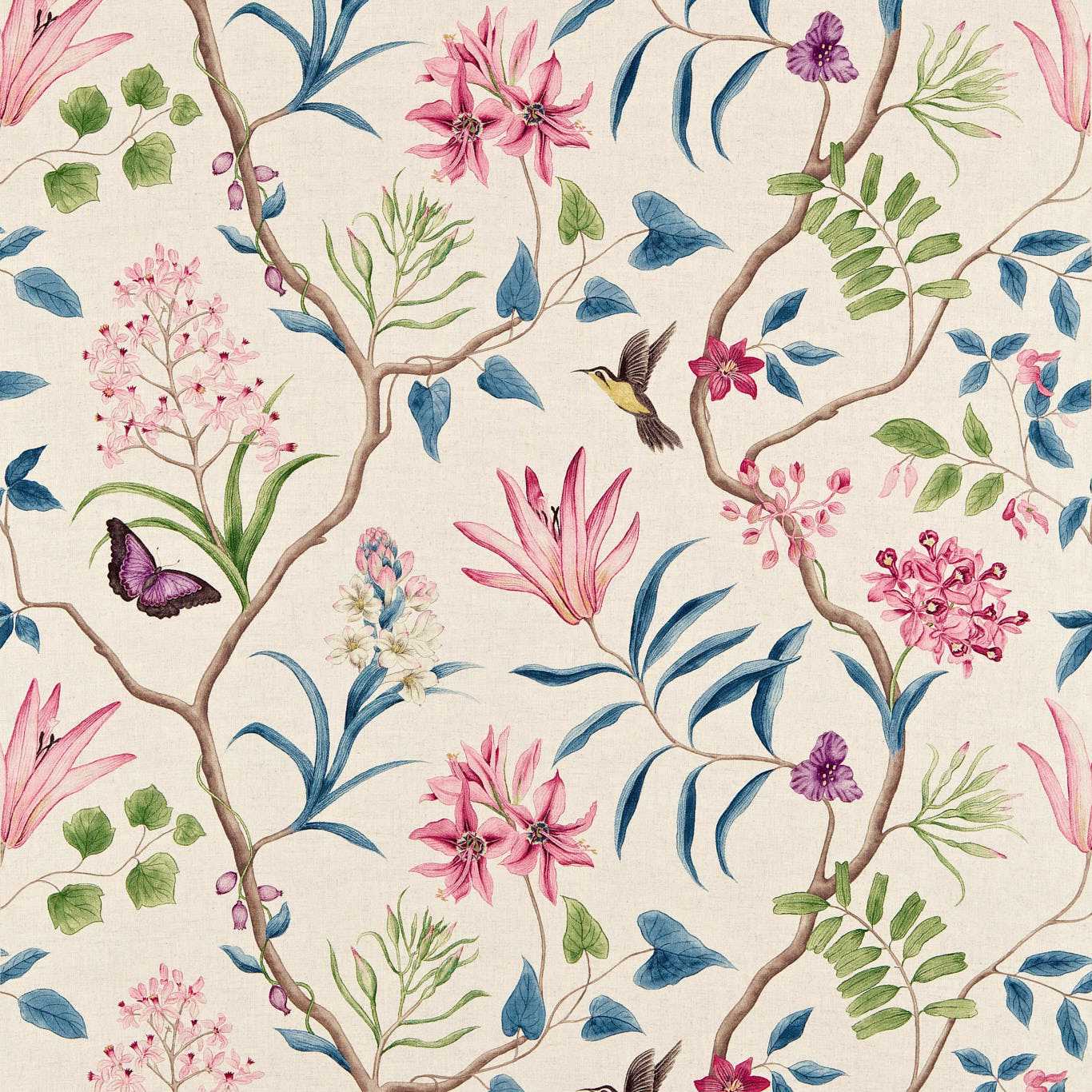 Sanderson Clementine Indienne Roman Blind