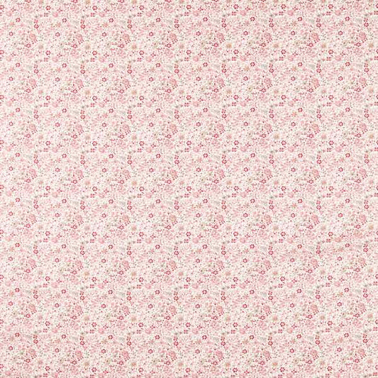 Clarke & Clarke Gamthi Blush Fabric by the Metre