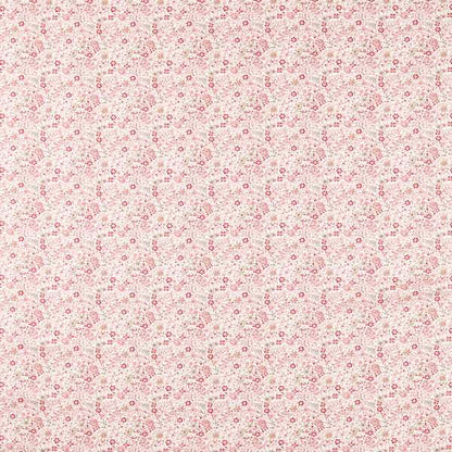 Clarke & Clarke Gamthi Blush Roman Blind