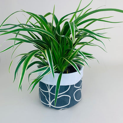Grey Stem Orla Kiely Plant Pot Covers: Retro Decor, Multiple Sizes