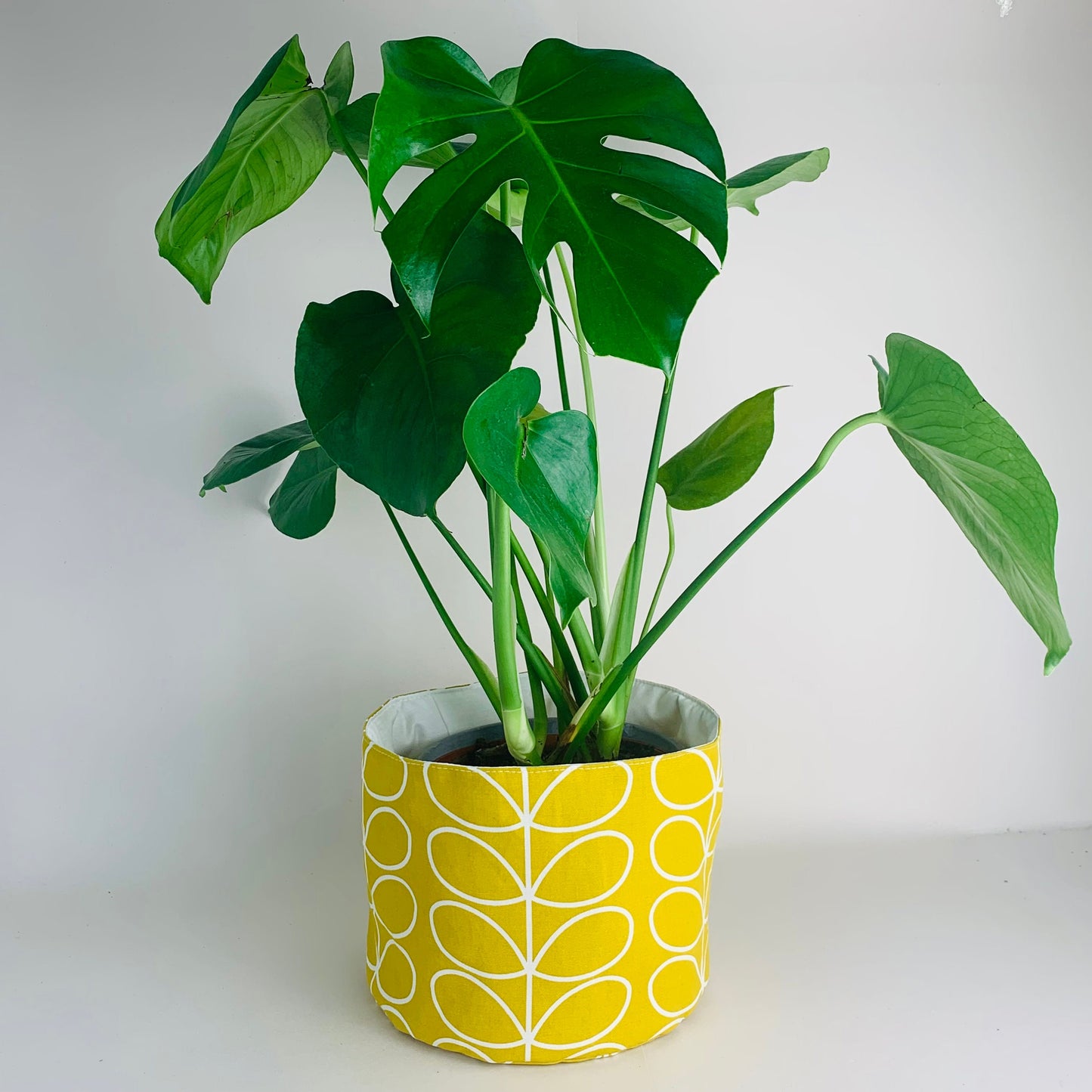 Yellow Stem Orla Kiely Plant Pot Covers: Retro Decor, Multiple Sizes